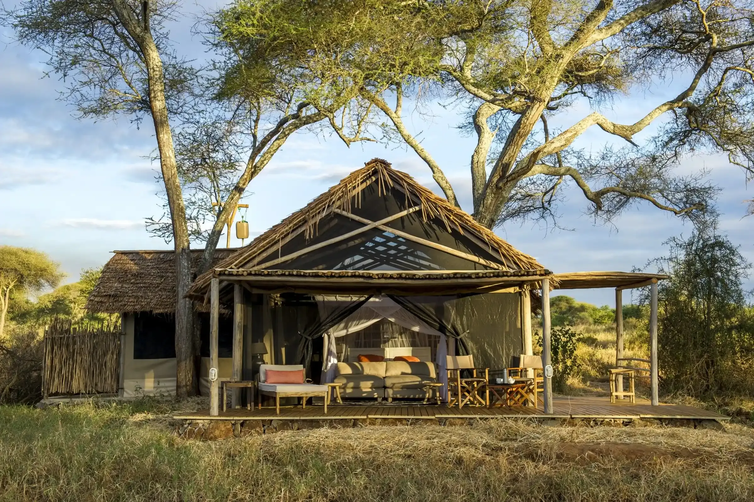 A thatched safari tent with a timber deck and lounge, lit by evening sun beneath acacia trees in Tarangire National Park