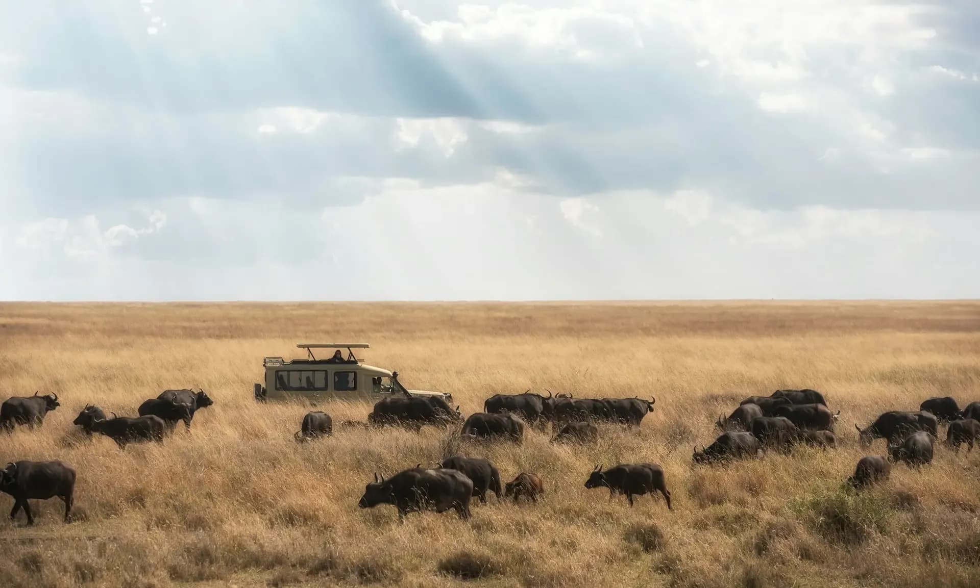 Serengeti National Park landscape
