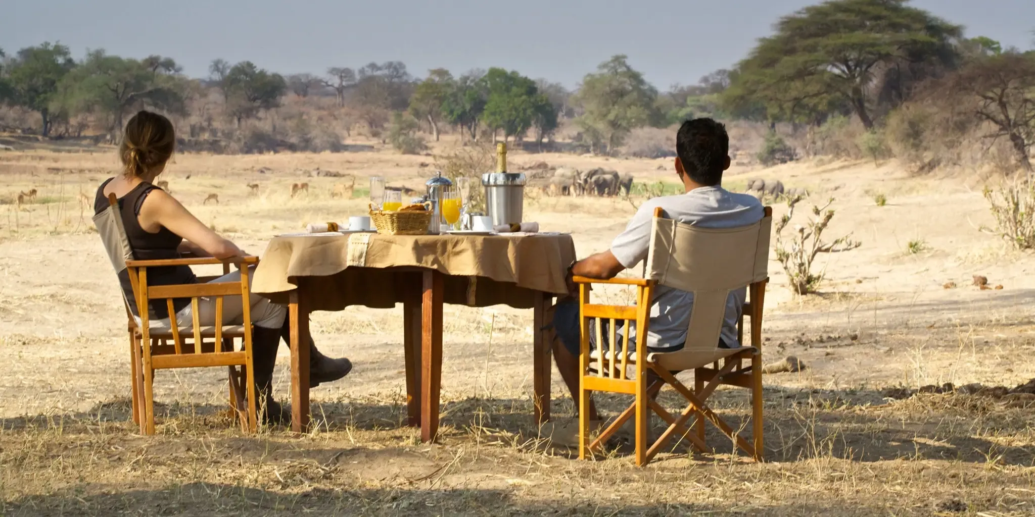 A couple having breakfast at a table in the bush, with elephants walking in the distance, Ruaha National Park