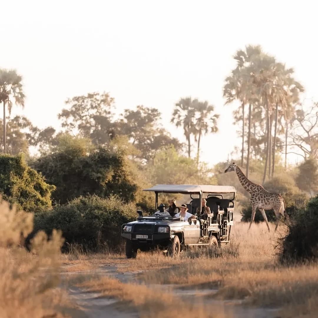 Ruaha National Park