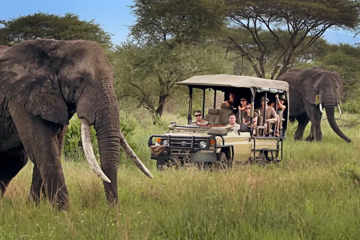 Travellers on an open-sided safari vehicle watching two elephants, Tanzania
