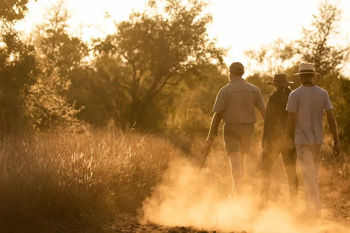 Three walkers seen from behind on a dusty path through dry golden grass and trees, lit by low evening sun